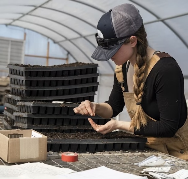 植物好きの筆者